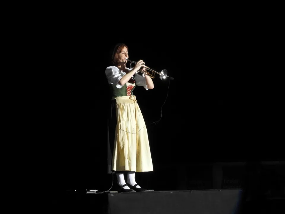 Traum eines österreichischen Reservisten